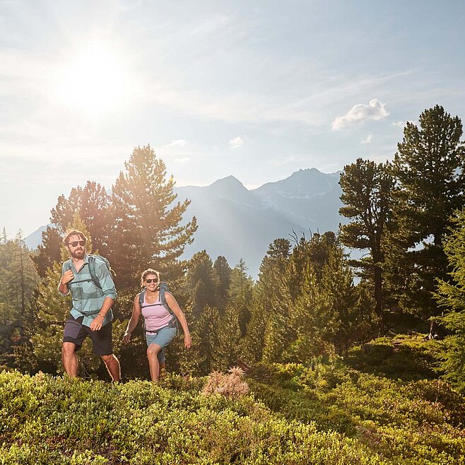 Zwei Wanderer auf sonnigem Bergpfad, umgeben von Wald, Alpenpanorama und warmem Licht in idyllischer Naturkulisse.