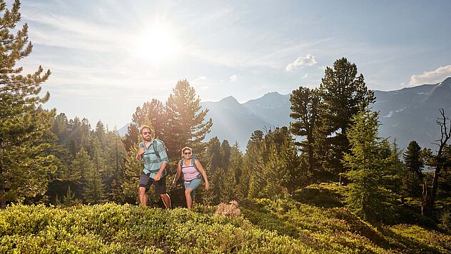 Zwei Wanderer auf sonnigem Bergpfad, umgeben von Wald, Alpenpanorama und warmem Licht in idyllischer Naturkulisse.