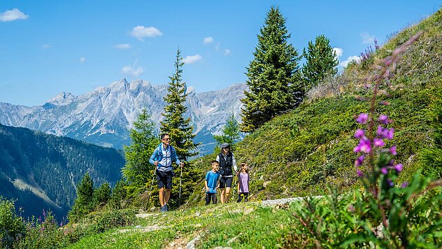 Familie mit zwei Kindern wandert auf einem schmalen Bergweg durch grüne Almwiesen, im Hintergrund hohe Berggipfel.