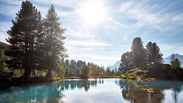 Sonniger Bergsee mit türkisfarbenem Wasser, umgeben von hohen Bäumen, reflektierendem Licht und Alpenlandschaft.