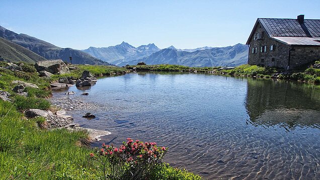 Bergsee neben Alpenhütte mit Blumenwiese, klarer Spiegelung und Panorama auf gezackte Berggipfel bei strahlendem Sonnenschein.